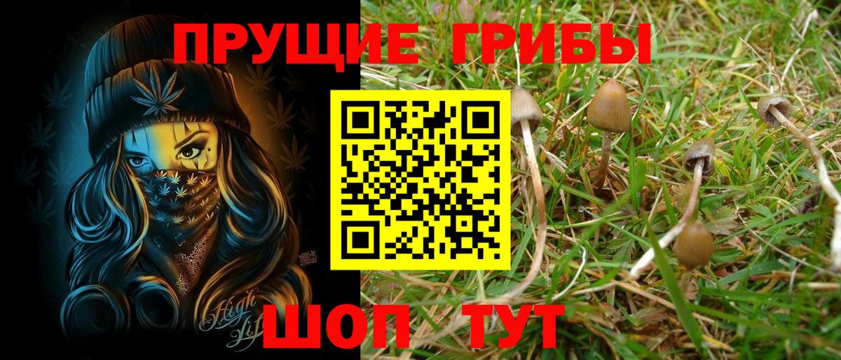 Тихвин  Галлюциногенные грибы MAGIC MUSHROOMS  Вход с VPN 