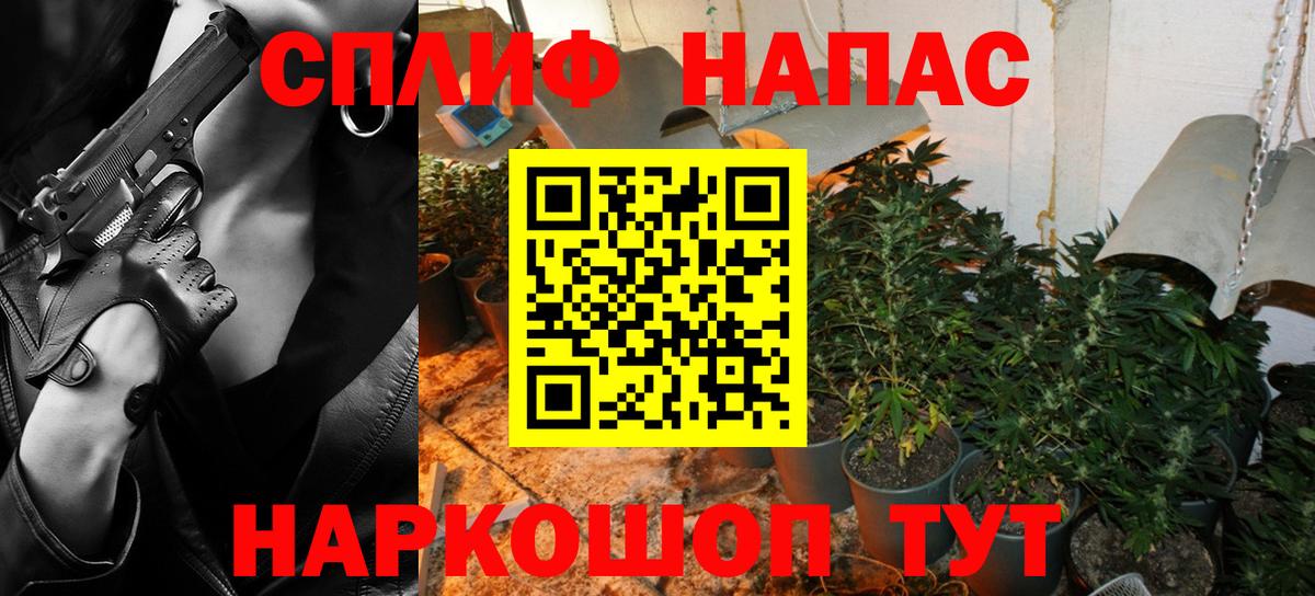Конопля Bruce Banner Тихвин