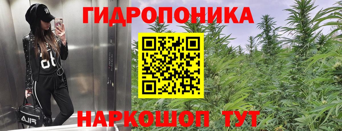 Каннабис Amnesia  Бошки марихуана THC 21%  Вход с VPN  Тихвин  Бошки марихуана Ganja 